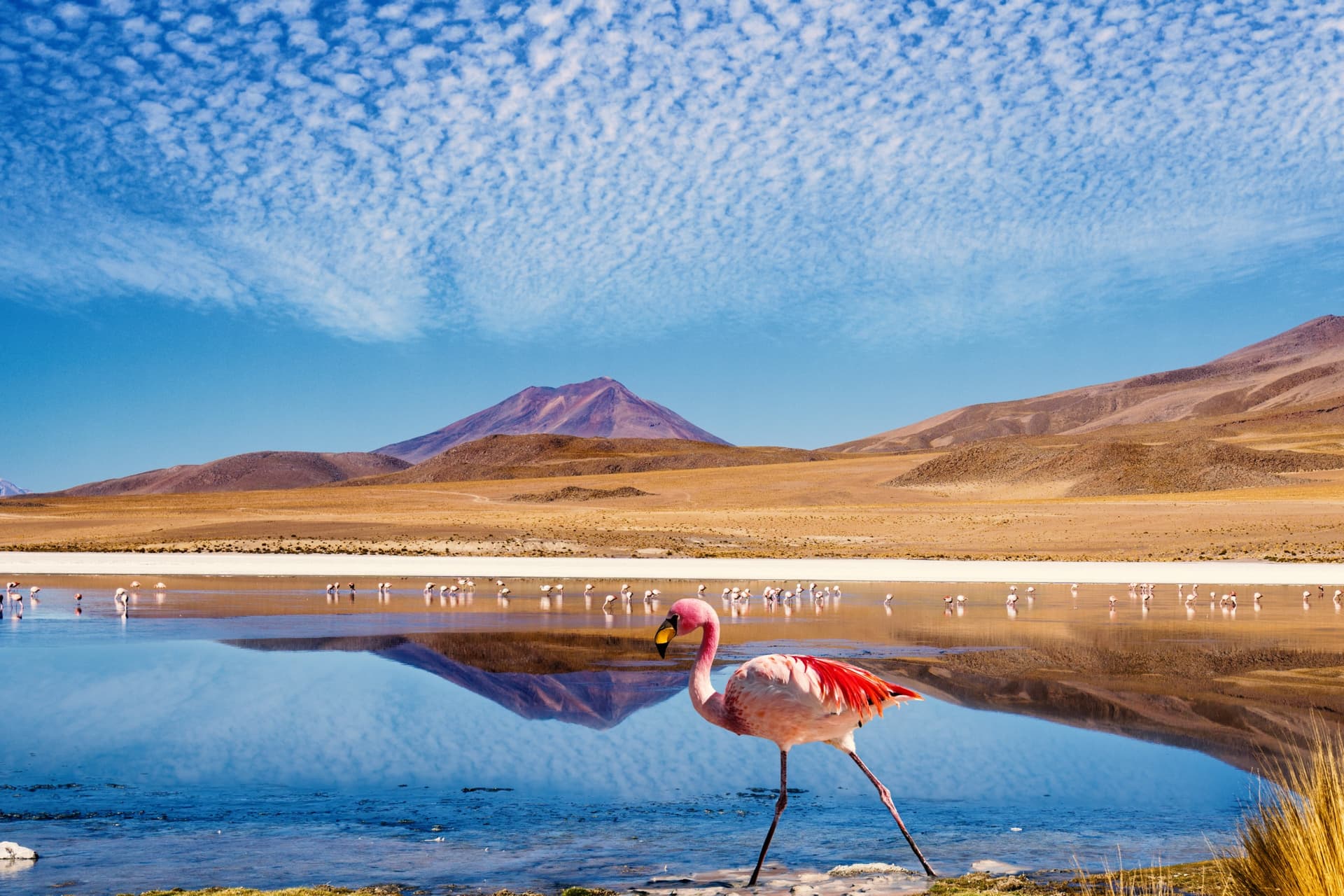 Best Time to Visit Bolivia