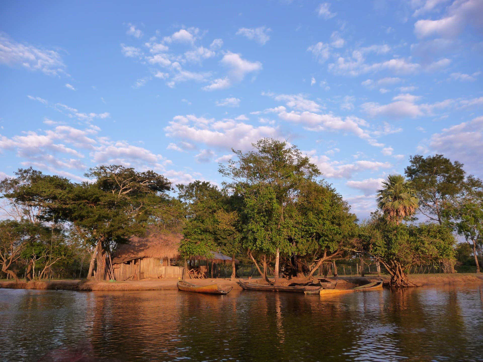 parque madidi 067 jpg