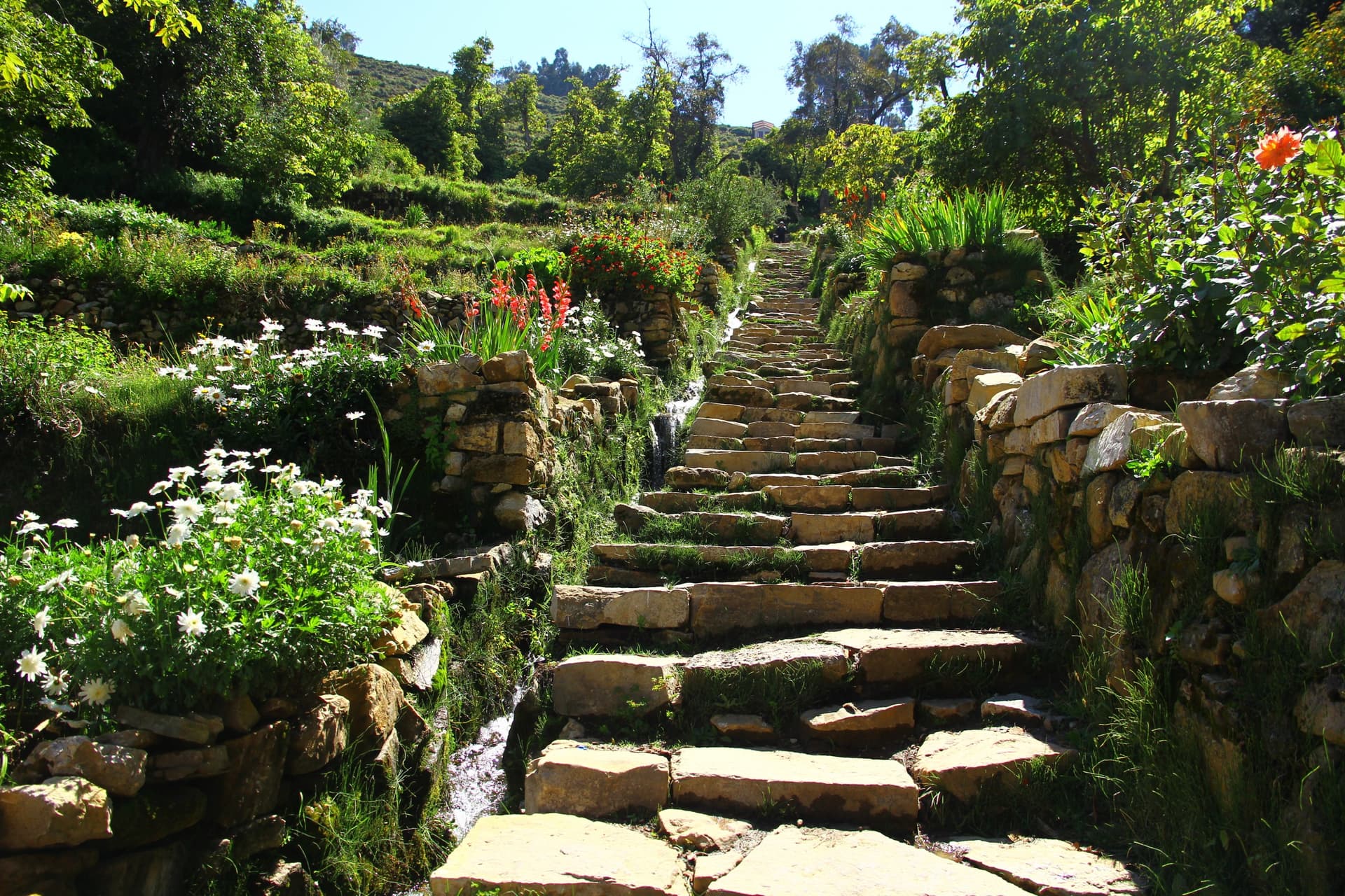 The Inca Stairway, Lake Titicaca